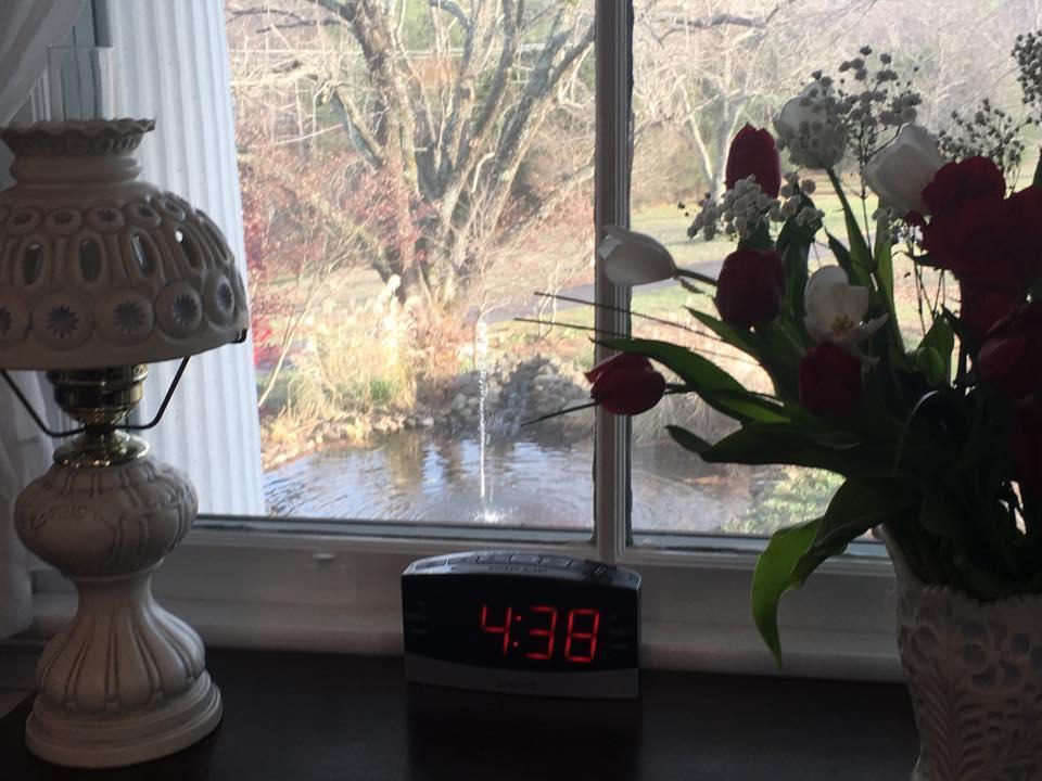 Winridge Manor Bed And Breakfast Madison Heights Экстерьер фото
