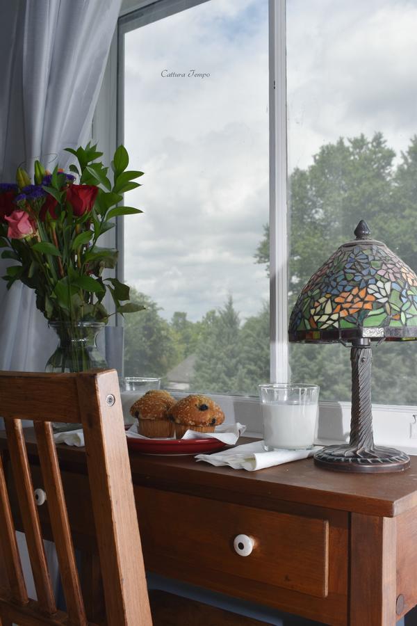 Winridge Manor Bed And Breakfast Madison Heights Экстерьер фото